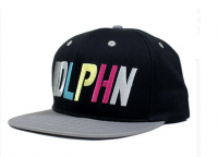 DLPHN Strapback in Black